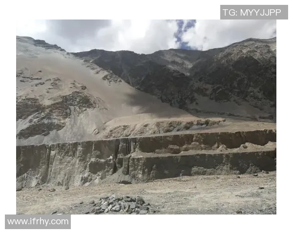 深度对话李芳在和平精英中的成长与挑战之路